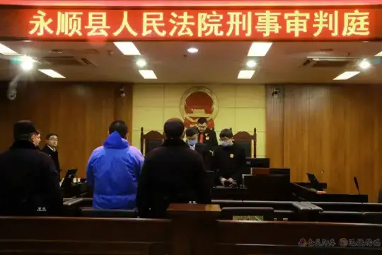 湖南永顺一男子种植大麻贩卖 获刑8个月(图1)