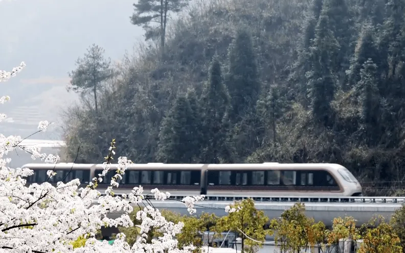 凤凰磁浮文旅项目顺利通过竣工验收(图1)