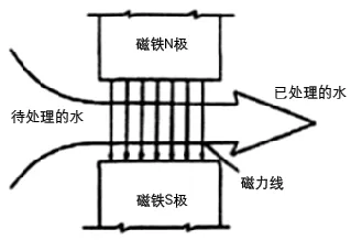 润版液中引入净化磁化水，竟出现这种结果！是否可行？(图1)