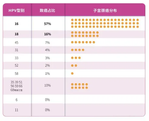 湘西州疾控中心预约接种HPV疫苗(图3)