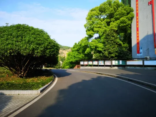 【招生】雅思高中2023年招生十问十答(图5) 【招生】雅思高中2023年招生十问十答(图5)