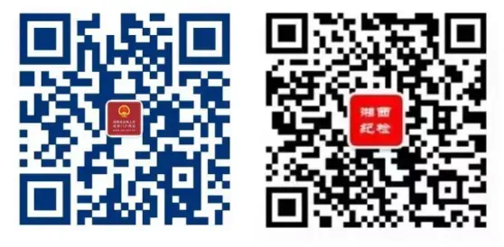关于征集损害湘西州营商环境问题的公告(图1)
