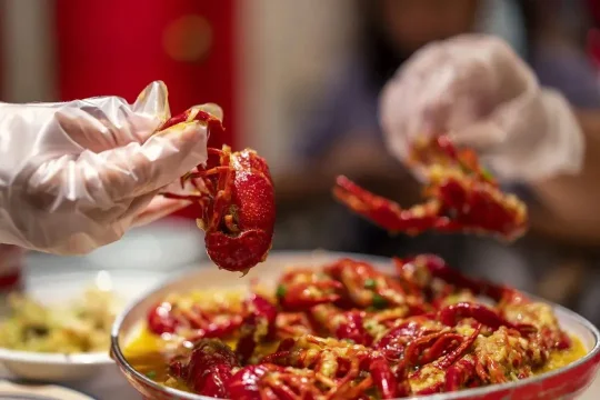 “睡前吃夜宵”和“饿肚子睡觉”，哪个危害更大？(图3)