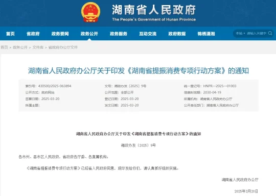 《湖南省提振消费专项行动方案》来了！(图1)