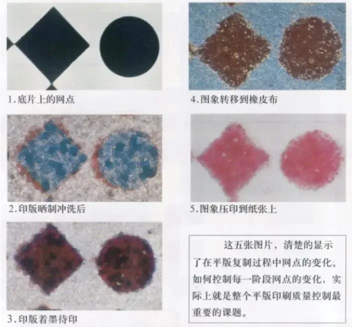 印刷知识-网点看色(图1)