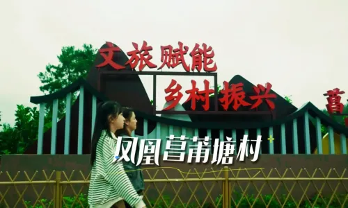 凤凰菖莆塘秋游