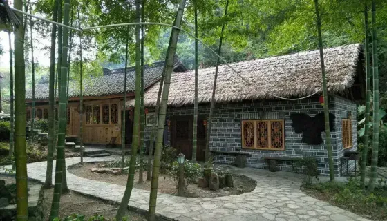 国家森林公园——永顺小溪原始次生林