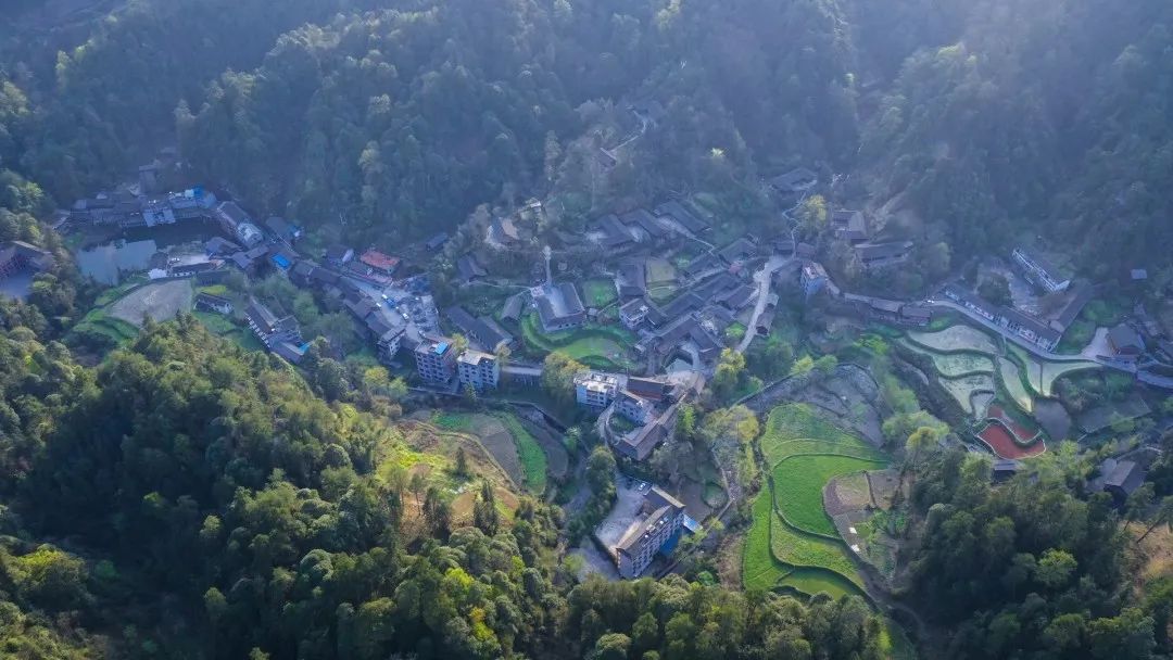 “小溪印象”湖南小溪国家级自然保护区摄影、短视频和经典美文征集活动征稿启事(图16)