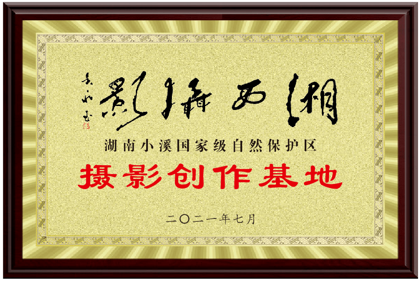 “小溪印象”湖南小溪国家级自然保护区摄影、短视频和经典美文征集活动征稿启事(图18)