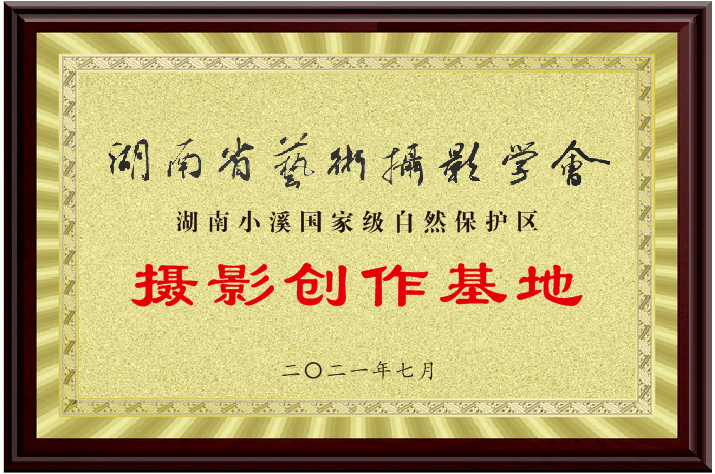 “小溪印象”湖南小溪国家级自然保护区摄影、短视频和经典美文征集活动征稿启事(图17)
